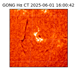 gong - 2025-06-01T16:00:42