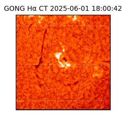 gong - 2025-06-01T18:00:42