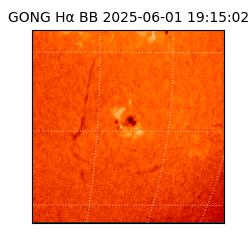gong - 2025-06-01T19:15:02