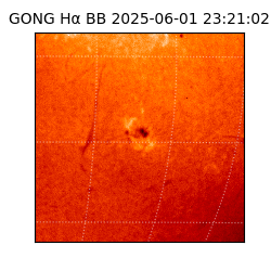 gong - 2025-06-01T23:21:02