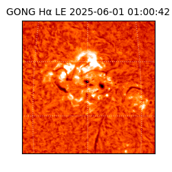 gong - 2025-06-01T01:00:42
