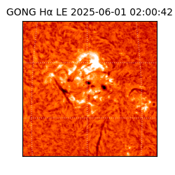gong - 2025-06-01T02:00:42