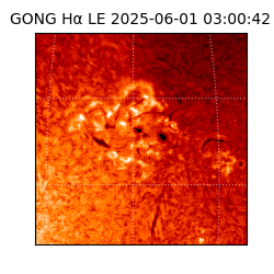gong - 2025-06-01T03:00:42