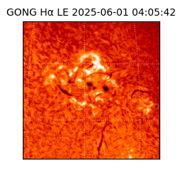 gong - 2025-06-01T04:05:42
