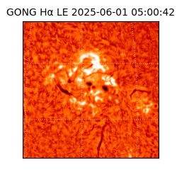 gong - 2025-06-01T05:00:42