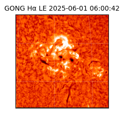 gong - 2025-06-01T06:00:42