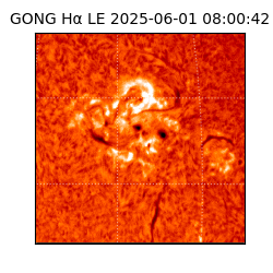 gong - 2025-06-01T08:00:42