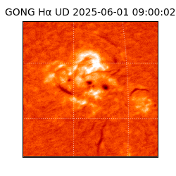 gong - 2025-06-01T09:00:02