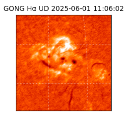 gong - 2025-06-01T11:06:02