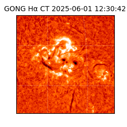 gong - 2025-06-01T12:30:42