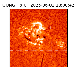 gong - 2025-06-01T13:00:42