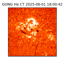 gong - 2025-06-01T18:00:42