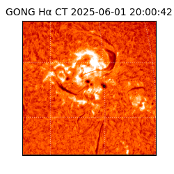 gong - 2025-06-01T20:00:42