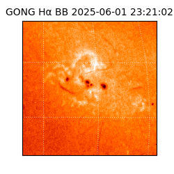 gong - 2025-06-01T23:21:02