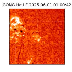 gong - 2025-06-01T01:00:42