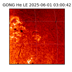 gong - 2025-06-01T03:00:42