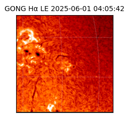 gong - 2025-06-01T04:05:42