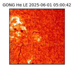 gong - 2025-06-01T05:00:42