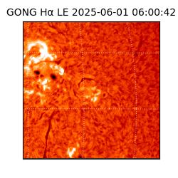 gong - 2025-06-01T06:00:42