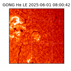 gong - 2025-06-01T08:00:42