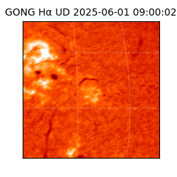 gong - 2025-06-01T09:00:02