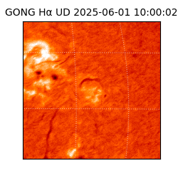 gong - 2025-06-01T10:00:02