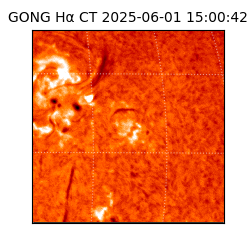 gong - 2025-06-01T15:00:42