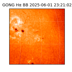 gong - 2025-06-01T23:21:02