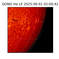 gong - 2025-06-01T02:00:42
