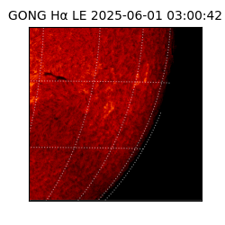 gong - 2025-06-01T03:00:42