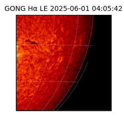 gong - 2025-06-01T04:05:42