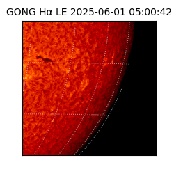 gong - 2025-06-01T05:00:42