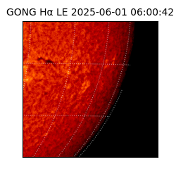 gong - 2025-06-01T06:00:42