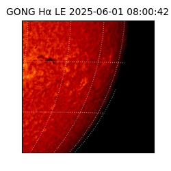 gong - 2025-06-01T08:00:42