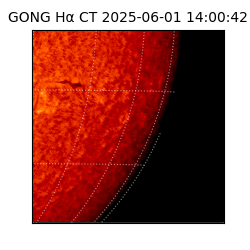 gong - 2025-06-01T14:00:42