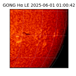 gong - 2025-06-01T01:00:42