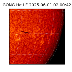 gong - 2025-06-01T02:00:42