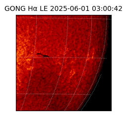 gong - 2025-06-01T03:00:42