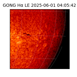 gong - 2025-06-01T04:05:42
