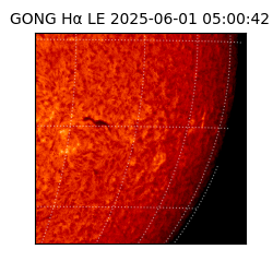gong - 2025-06-01T05:00:42