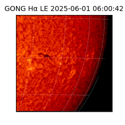 gong - 2025-06-01T06:00:42