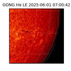 gong - 2025-06-01T07:00:42