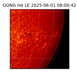 gong - 2025-06-01T08:00:42