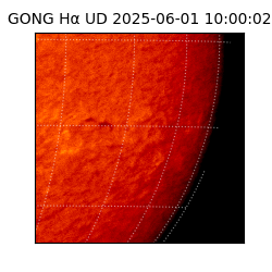 gong - 2025-06-01T10:00:02