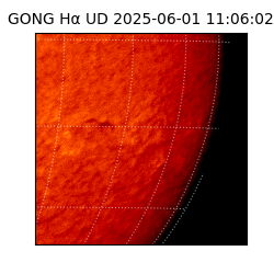 gong - 2025-06-01T11:06:02