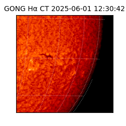 gong - 2025-06-01T12:30:42