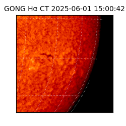 gong - 2025-06-01T15:00:42