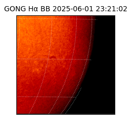 gong - 2025-06-01T23:21:02