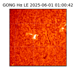 gong - 2025-06-01T01:00:42