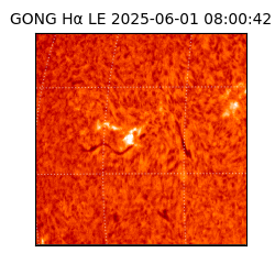gong - 2025-06-01T08:00:42